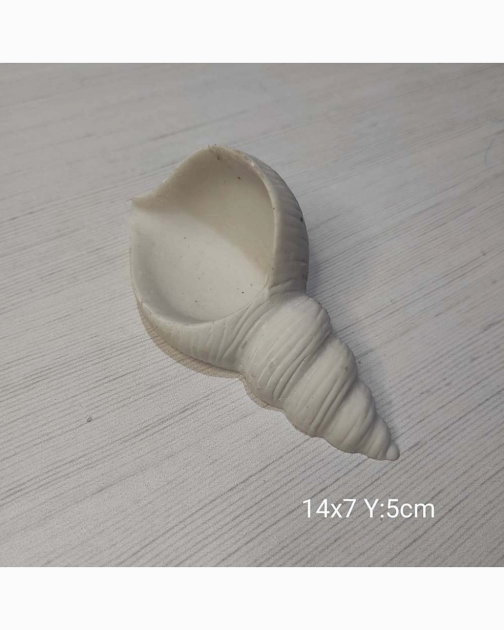 YY0923-Deniz Kabuğu Hazneli Silikon Kalıp